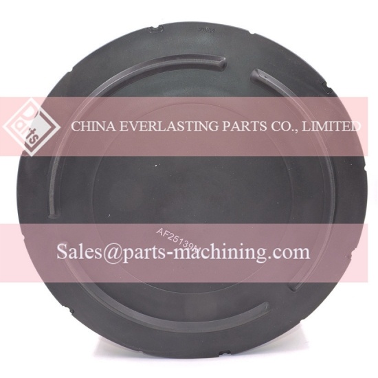AF25139M Air Filter