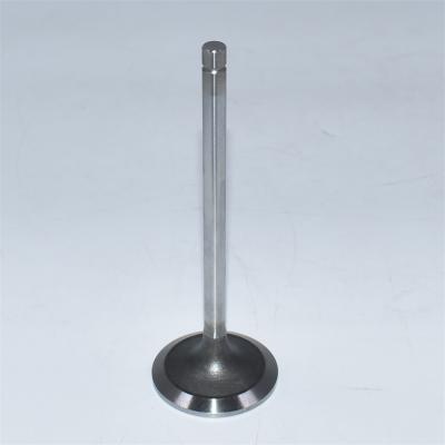 Intake Valve R98062