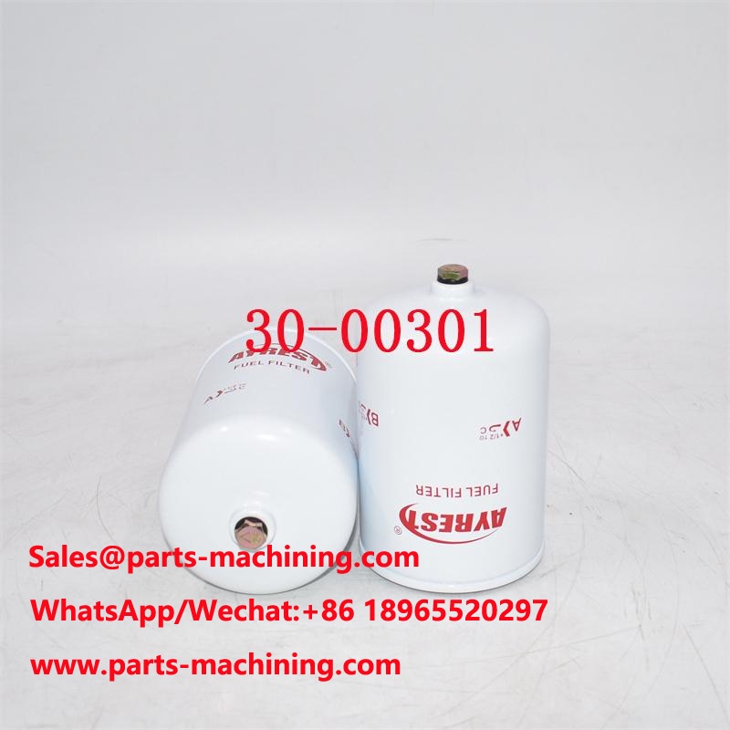 30-00301 ผู้ผลิตกรองน้ำมันเชื้อเพลิง SN200 BF896