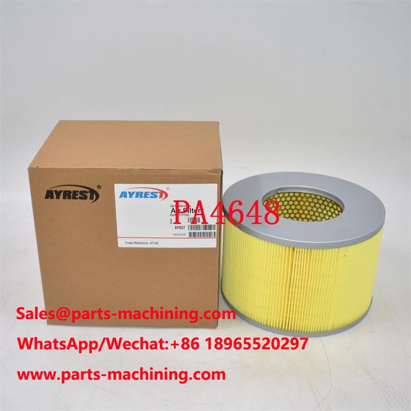 PA4648 Air Filter