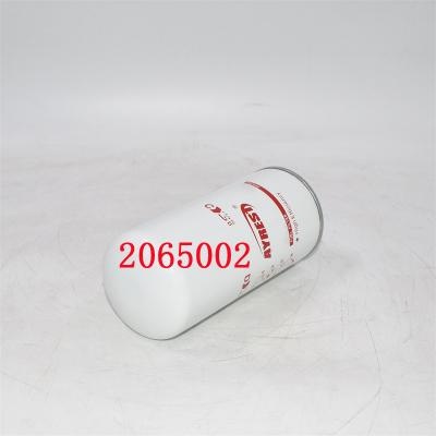 2065002 ไส้กรองน้ำมันเชื้อเพลิง 2002041593 เปลี่ยน