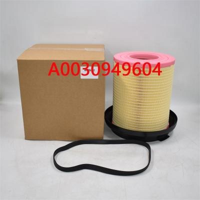 Air Filter A0030949604