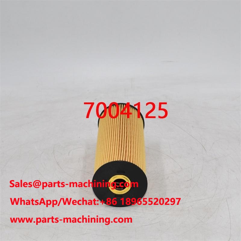 7004125 กรองน้ำมัน 560282808 สำหรับเครนเคลื่อนที่