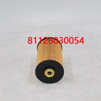 กรองน้ำมันเชื้อเพลิง 81125030054 81125030018