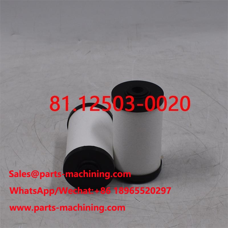 Fuel Filter 81.12503-0020