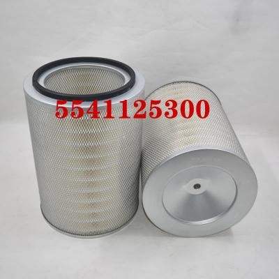 5541125300 ไส้กรองอากาศ OEM ODM