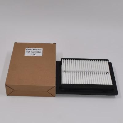 RH31-05A120000A0 Cabin Air Filter